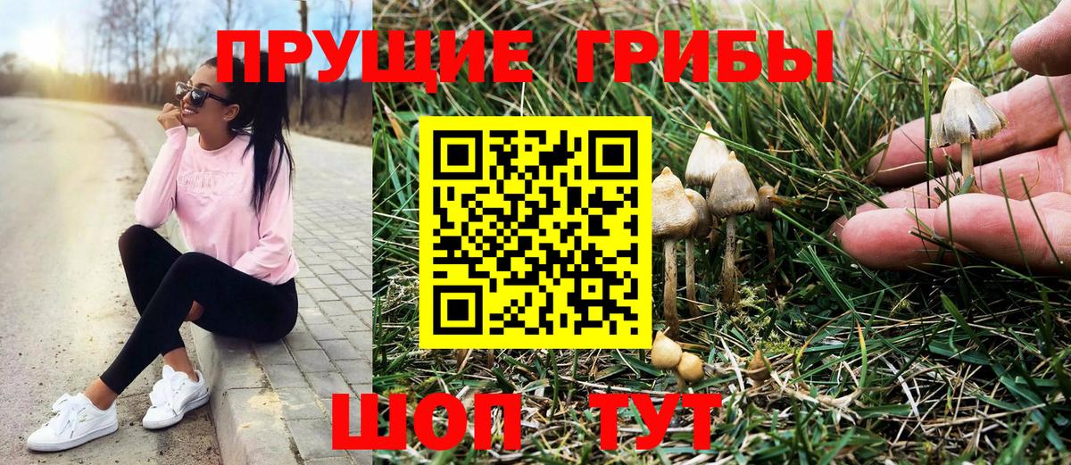 Галлюциногенные грибы Cubensis Минеральные Воды