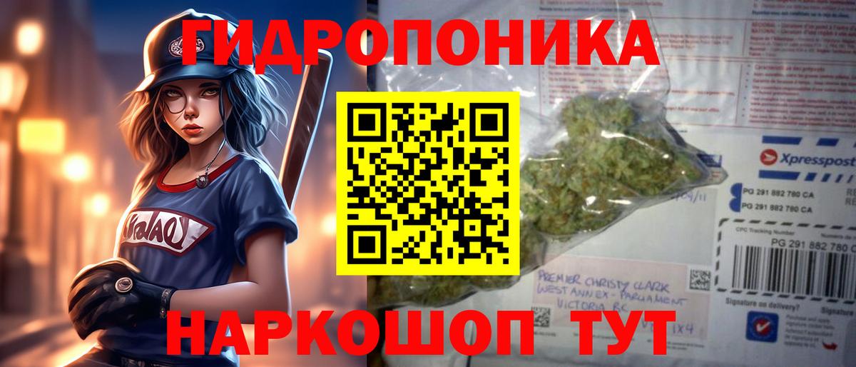 Шишки марихуана план Минеральные Воды